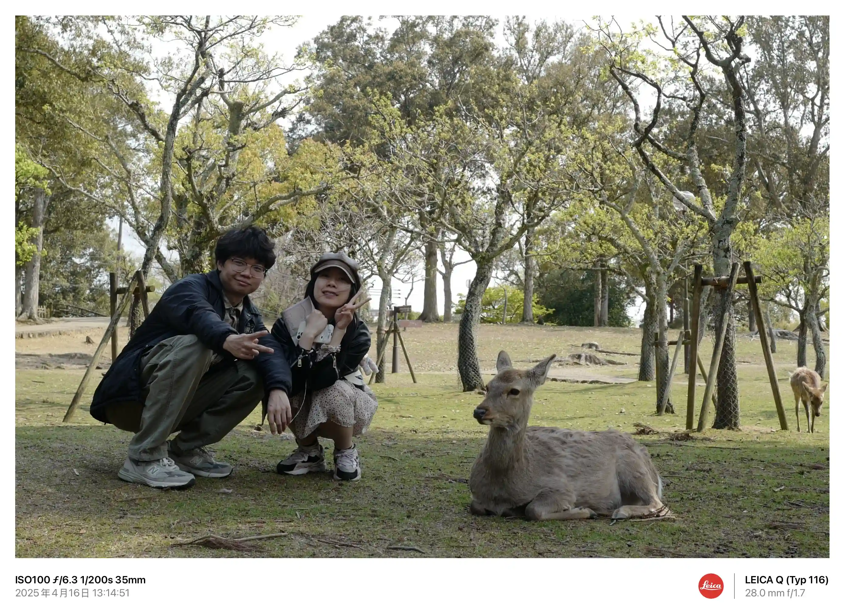 【旅行】2025春关西旅行随记